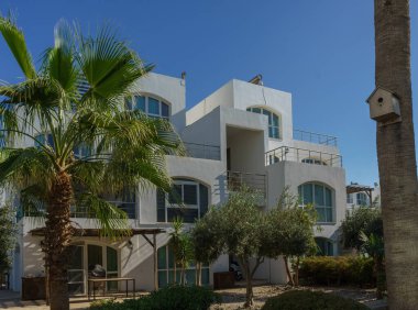 Açık mavi gökyüzünün altında palmiye ağaçlarıyla çevrili güzel tasarlanmış bir bina, rahatlatıcı..