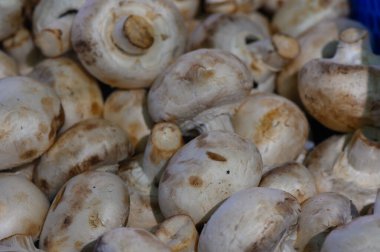 Sonbaharda renkli bir yerel pazar, satıcılar yeni toplanmış mantarları gururla sergilerken, tüketicileri doğanın enfes sunumlarını keşfetmeye çağırırken enerji ile uğulduyor..