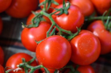 Parlak ve canlı kırmızı domatesler bir araya toplanmış, sulu yüzeyleri güneş ışığında parıldıyor. Tam kıvamında, bu meyveler canlı bir çiftçi pazarında müşterileri cezbediyor..