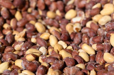 Parlak bir öğleden sonra güneşi altında parlayan taşakların rengarenk bir karışımı ahşap bir yüzeye saçılmış..