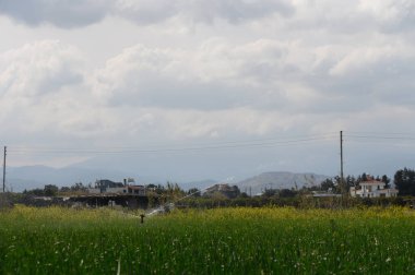 Sulama sistemi canlı alanları canlandırırken, karanlık bulutlar barışçıl bir kırsal alan üzerinde beliriyor..