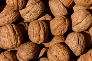 Ceviz bolluğu birbirine çok yakın bir şekilde paketlenmiştir. Kaba kabukları, öğleden sonra ışığında doğanın özünü yansıtan kahverengimsi ve topraksı tonlarda zengin bir duvar halısı sağlar..