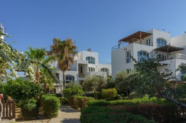Palmiye ağaçları ve açık gökyüzünün altındaki canlı çalılarla çevrili güzel bir tatil köyü..