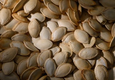 Soluk ve karmaşık şekilli kabak çekirdekleri toplanarak güzel bir doku mozaiği oluşturulur. Bu mevsimlik cömertlik hasat zamanından bahsediyor, doğanın hediyelerini ve mutfak maceralarını kutluyor..