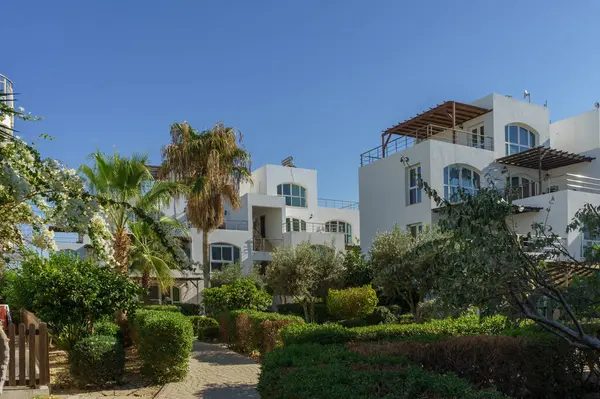 Palmiye ağaçları ve açık gökyüzünün altındaki canlı çalılarla çevrili güzel bir tatil köyü..