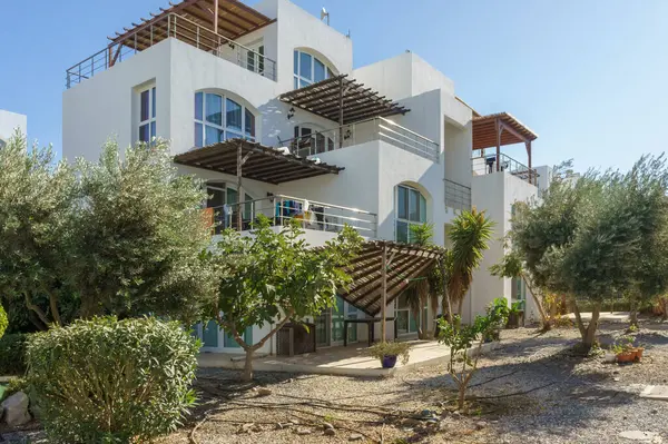 Parlak bir villa zeytin ağaçlarının arasında duruyor, modern mimariyi gözler önüne seriyor ve dinlenmek için açık alanları davet ediyor..