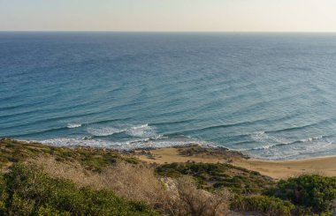 Dalgalar, yemyeşil ve batan güneşin sıcak renkleriyle çerçevelenmiş sakin bir kumsalda usulca yuvarlanır..