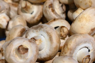 Taze toplanmış mantarların canlı bir görüntüsü piyasayı doldurarak, kremsi başlıklarını ve sıcak güneş ışığı altında topraksı dokularını gözler önüne seriyor. Yerel satıcılar doğal iyilik cömertliği sunuyorlar..