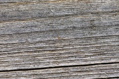 Eski, yıpranmış ahşap bir yüzeye yakın çekim. Derin oyuklar ve doğal dokular sergiliyor. Yumuşak ışık kırsal çekiciliğini arttırır, tarihini düşünmeye teşvik eder..