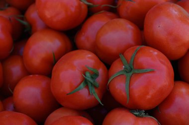 Taze hasat edilmiş domatesler yerel bir pazarda güneş altında parlıyor ve alıcıları zengin renkleriyle davet ediyor..
