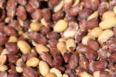 Çeşitli türde yer fıstıkları bir araya toplanmış. Eşsiz renklerini ve dokularını canlı bir açık hava ortamında sergiliyorlar..