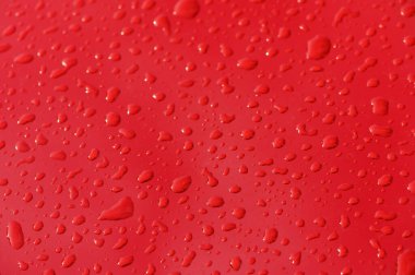 Su boncukları parlak kırmızı bir yüzeyde parlar, ışığı yansıtır ve büyüleyici bir tazelik gösterisi yaratır.