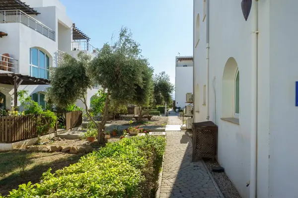 Yeşillik ve zeytin ağaçlarının arasında dolanan dar bir patika büyüleyici beyaz yapılar arasında yol açar..