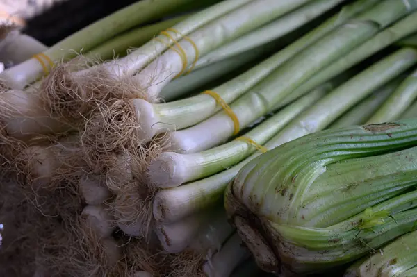 Çıtır yeşil soğan ve kereviz taze ürünlerle dolu canlı bir bahar pazarına renk katıyor..