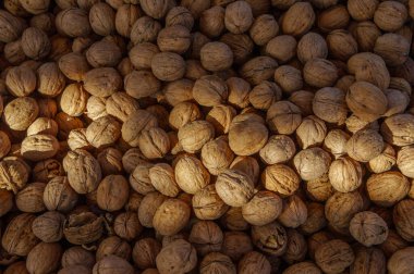 Taşralı cevizler, ahşap bir yüzeyde bol bol uzanır, öğleden sonra güneşinin tadını çıkarırlar..