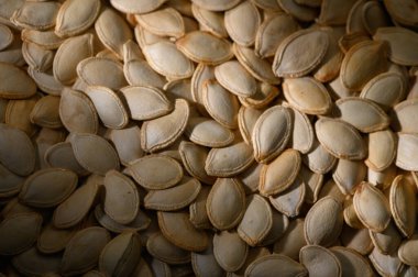 Altın ve bej kabak tohumları sıcak güneş ışığında serpilmiş, hazırlanmak için son adımları bekliyorlar. Her tohum eşsiz biçimini ve dokusunu sergiler, cömert bir hasatı yansıtır..