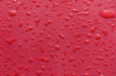 Su boncukları parlak kırmızı bir yüzeyde zarif bir şekilde ışığın yansıması, doğanın büyüleyici güzelliğini gözler önüne seriyor..