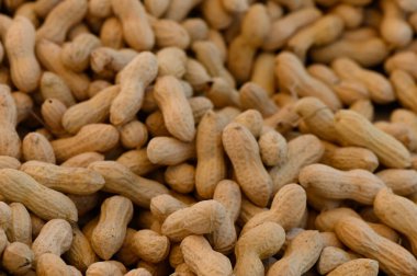 Bountiful display of freshly harvested peanuts nestled together, highlighting their earthy colors and textures.