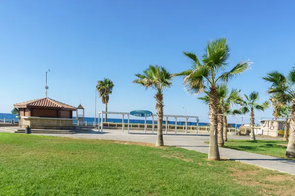 Huzurlu bir sahil manzarası, büyüleyici bir sahil büfesi yakınında palmiye ağaçları barındırır, dinlenmeye ve rahatlamaya davetiye çıkarır..