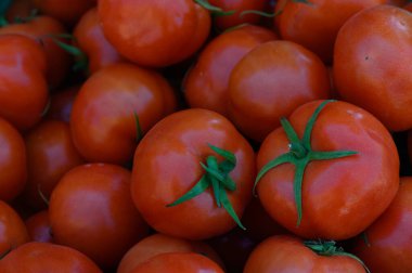 Canlı kırmızı domatesler, hareketli bir çiftlik pazarında güneş ışığında ışıldayarak yükselirler. Mükemmel yuvarlak şekilleri ve yeşil gövdeleri renkli taze ürünler üretiyor..