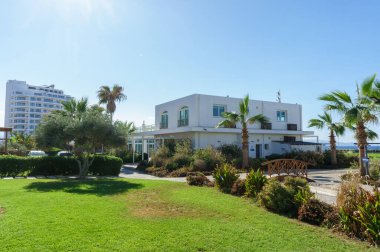 Açık mavi gökyüzünün altında yeşil çimlerin ve palmiye ağaçlarının arasında parlak ve davetkar bir sahil bölgesi duruyor..