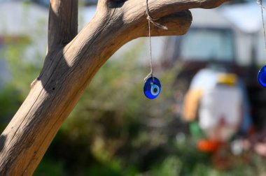 Güneş ışığı, mavi nazar boncuklarının kırsal bir daldan sarkan yemyeşil bir bahçeden süzülür. Renkli süslemeler ve yeşillikler cazibeyle dolu sakin ve büyüleyici bir atmosfer yaratır..