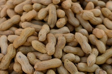 Naturally textured brown peanuts lay scattered, showcasing their earthy tones and unique shapes in a rural setting.