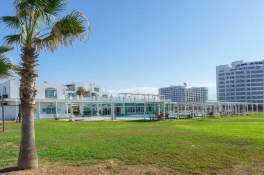 Ziyaretçiler, berrak gökyüzü, palmiye ağaçları ve davetkar havuz manzaralı çarpıcı bir tatil beldesinde sakin bir günün tadını çıkarıyorlar..