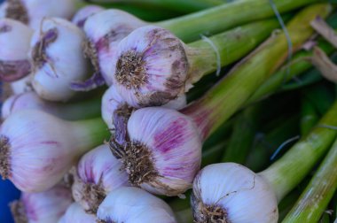 Canlı bir pazarda taze toplanmış sarımsak sürüleri, yemyeşil saplarını ve güzel mor renkli ampullerini sergiliyorlar, çiftlikten sofraya tazeliğin özünü somutlaştırıyorlar..
