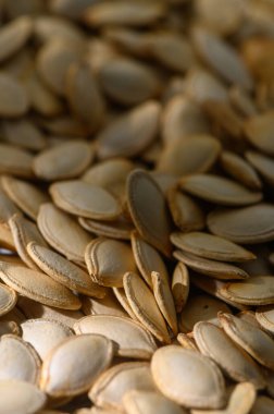 Güneş ışığı yeni toplanmış balkabağı tohumlarının bolluğunu aydınlatır. Sonbaharın özünü yakalar..