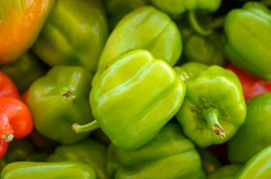 Canlı bir çiftçi pazarında çeşitli dolmalık biberler, parlak yeşilden koyu kırmızıya kadar sanatsal olarak düzenlenir. Öğleden sonra güneşi meyvelerin üzerine sıcak bir ışık saçıyor. İstekli müşterileri kendine çekiyor..