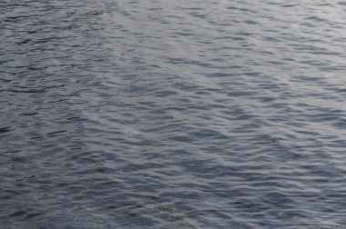 Sakin yüzey boyunca hafif dalgalar dans eder, sakin bir günbatımının altın renklerini yakalar.