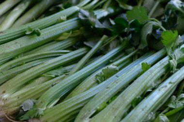 Gevrek kereviz sapları ve canlı kişniş yaprakları birlikte uzanır, tazeliklerini ve canlı yeşil renklerini sergiler..