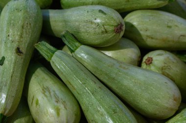 Bereketli yeşil kabak dolu sepetler sabahın erken saatlerinde hareketli bir pazarda renkli bir görüntü oluşturur..