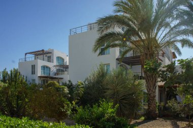 Güneşli bir öğleden sonra canlı bitkiler ve uzun palmiyeler arasında modern mimari sergileniyor, sakin bir hava yaratıyor..