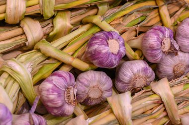 Renkli sarımsak sicimi kümeleri arkaplandaki toprak renklerine karşı birleşerek hasat aromalı bir çiftçi pazarı sergilediler. Müşteriler cömertliği keşfeder.