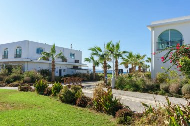 Palmiye ağaçları ve kıyı şeridi boyunca canlı çiçeklerle dolu huzurlu bir gezintinin tadını çıkarın..