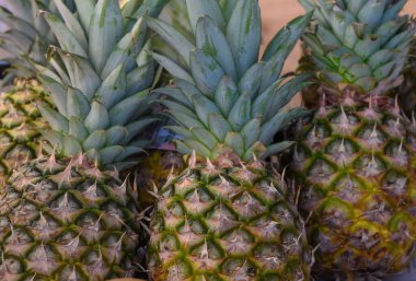 Hareketli bir pazarın canlı atmosferi arasında olgun ananaslar sıcak güneşin altında parlıyor, yeşil yaprakları altın deriyle çelişiyor, müşterileri cezbedip taze tropikal lezzetlere daldırıyor..