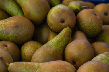 Çeşitli boyutlarda ve gölgelerde yemyeşil, olgun armutlar doğal güzelliklerini sergilemek için renkli bir şekilde bir araya gelirler. Bu canlı düzen hasat mevsiminin özünü yakalar..