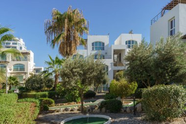 Bereketli yeşillik zarif beyaz binaları çevreleyerek güneşli bir sahil manzarasında huzurlu bir vaha oluşturur..