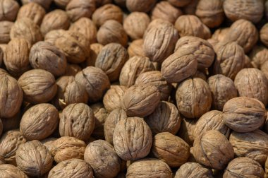 Hasat edilmiş cevizlerden oluşan cömert bir koleksiyon kabuklarının zengin dokularını gösteren kırsal bir ortamda duruyor. Sıcak renkler pazar günü sonbaharın esansını yansıtıyor..