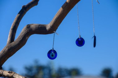 Sakin bir açık hava ortamında, çarpan mavi cam süsler eğri büğrü bir daldan sarkıyor, sakin bir gökyüzünün arka planına karşı güneş ışığını yakalıyor, bir huzur hissi uyandırıyor..