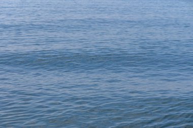 Gün ışığında hafif dalgalar titreşiyor, sakin suların kıyısında sakin bir atmosferi yansıtıyor..