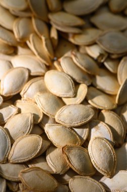 Yumuşak ışıkta parlayan balkabağı tohumları eşsiz şekiller ve toprak renkleri sergiliyor, hasat kutlamalarına davet ediyor..