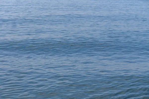 Gün ışığında hafif dalgalar titreşiyor, sakin suların kıyısında sakin bir atmosferi yansıtıyor..