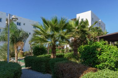 Palmiye ağaçları ve canlı bitkilerle dolu güzel bir bahçe ziyaretçileri huzurlu yollarını keşfetmeye davet ediyor..