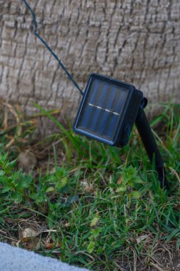 Güneş enerjisiyle çalışan bir ışık yemyeşil çimlerin üzerinde sıkıca durur, gündüzleri gün ışığını yakalayarak geceleri hafifçe parlar. Huzurlu bahçe atmosferi doğanın güzelliğini sunar..