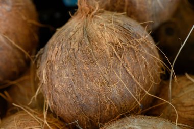 Hindistan cevizi kabukları, dokulu kahverengi dış ve lifli iplikçikleri ile hareketli bir pazarda çekici bir şekilde düzenlenir, doğanın sanatsal özelliklerini canlı bir ortamda sergiler..