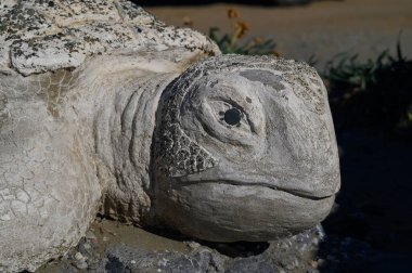 Büyüleyici bir taş kaplumbağa heykeli çiçeklerin arasında dinleniyor. Parktaki sıcak güneş ışığının tadını çıkarıyor..