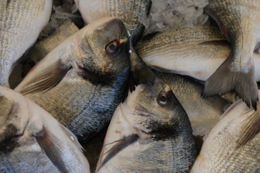 Işıldayan balıklar buzdan bir yatakta uzanır, canlı pullarını sergilerler ve canlı pazar yerinde taze bir cazibe.